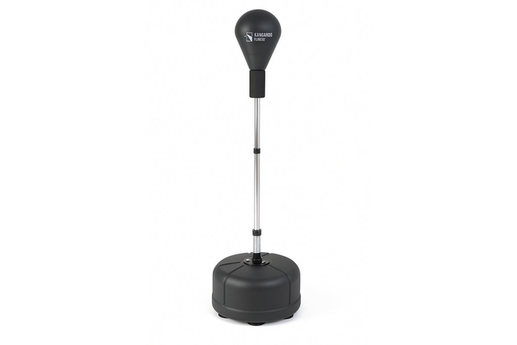 Standing Boxing Speed Ball