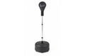 Standing Boxing Speed Ball