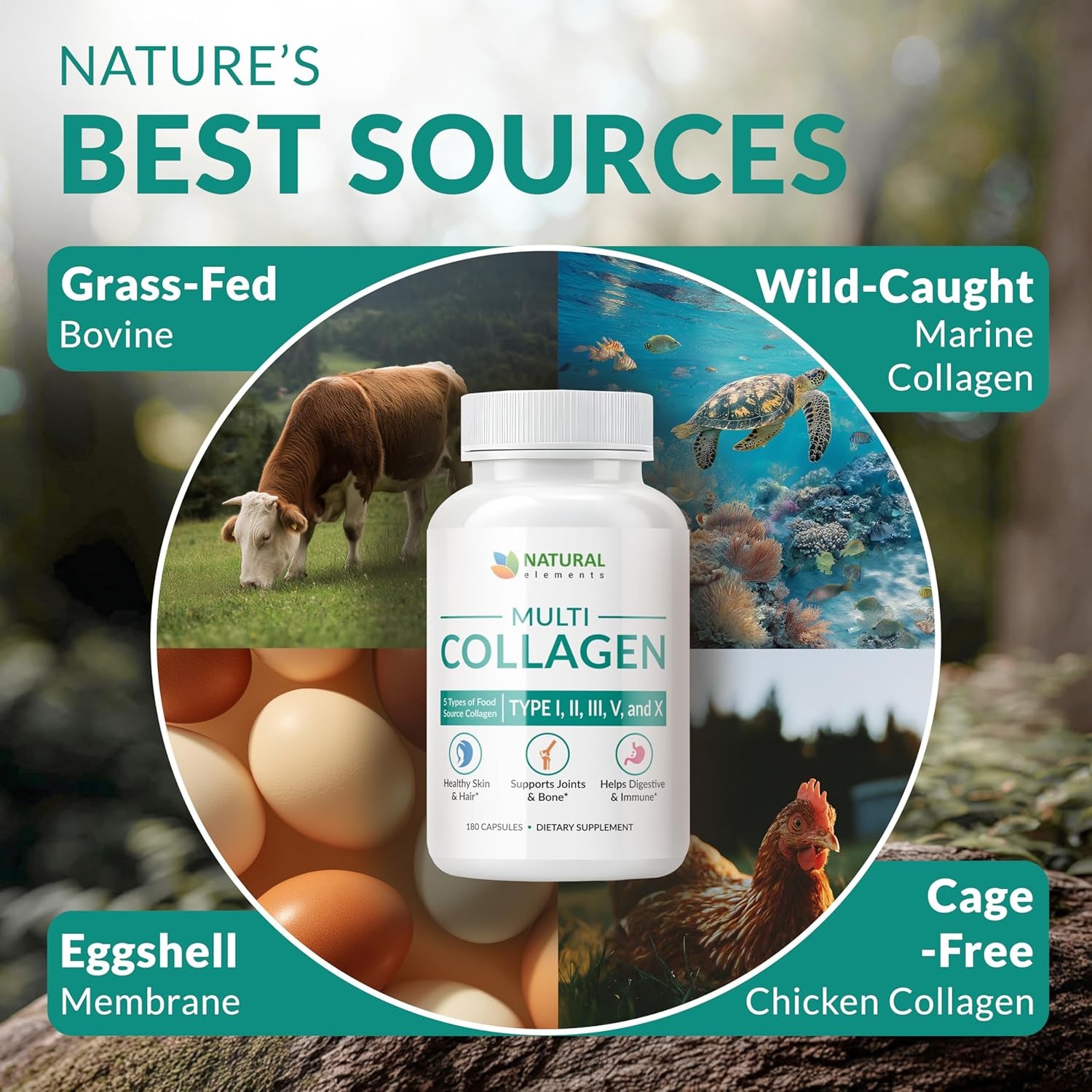 Multi Collagen Protein Capsules - 180 Collagen Capsules - Type I, II, III, V, X Collagen Pills - Proprietary Blend of Eggshell, Chicken, Wild Fish & Grass-Fed Beef Collagen Peptides - 2025Mg per Serv